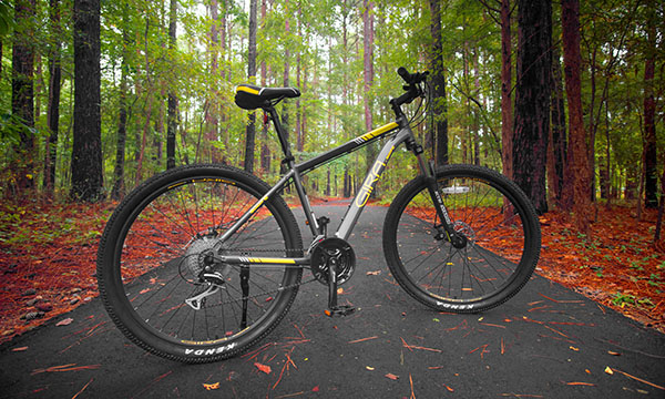 Expert 2022 Mountain Bike